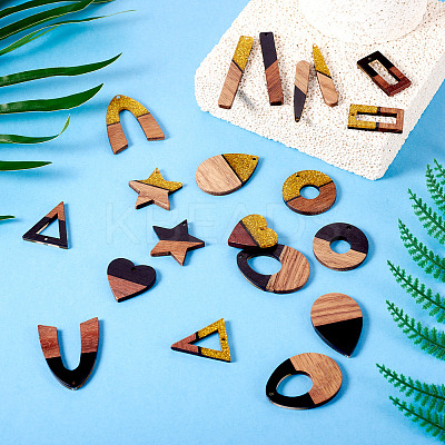 20Pcs 10 Styles Opaque Resin & Walnut Wood Pendants RESI-TA0003-37-1