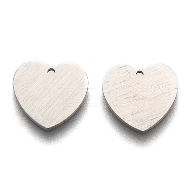 Tarnish Resistant 304 Stainless Steel Pendants STAS-O133-02A-P-1