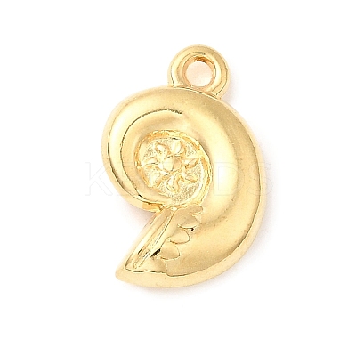 304 Stainless Steel Charms STAS-B103-02D-G-1