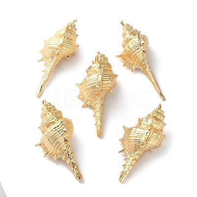 Electroplated Natural Conch Shell Big Pendants X-SSHEL-B002-01G-02-1
