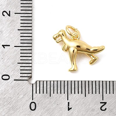 Brass Charms KK-I364-02G-01-1