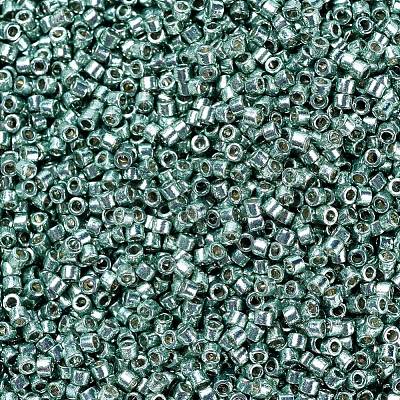 MIYUKI Delica Beads SEED-X0054-DB1846-1