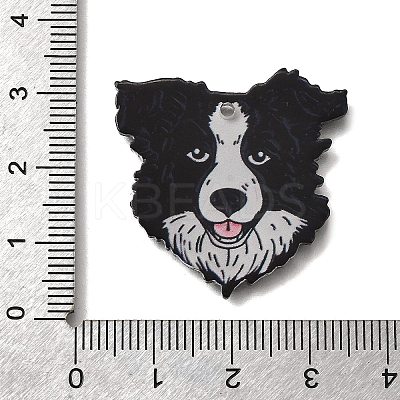 Printed Acrylic Pendants OACR-P033-01C-1