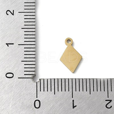 304 Stainless Steel Charms LS-STAS-E501-05G-1