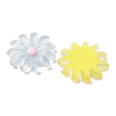 Transparent Resin Cabochons CRES-I046-04-1