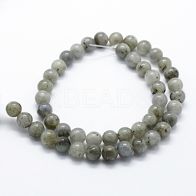 Natural Labradorite Beads Strands G-I199-15-8mm-1