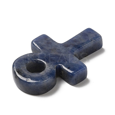 Natural Sodalite Pendants G-R492-03C-1