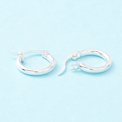 925 Sterling Silver Hoop Earrings STER-P047-13A-S-1
