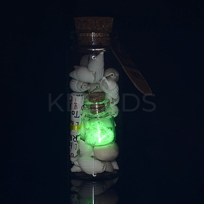 Glass Wishing Bottles DJEW-J001-04-1