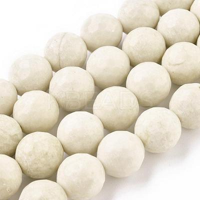 Natural Fossil Round Bead Strands G-O151-02-12mm-1