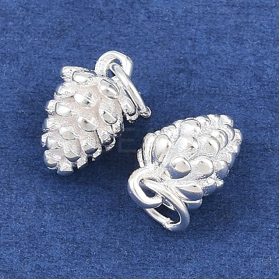 925 Sterling Silver Charms STER-I024-01S-1