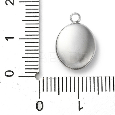 304 Stainless Steel Acrylic Pendants STAS-M091-02E-P-1