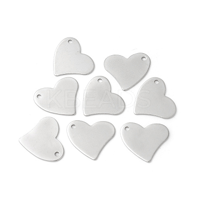 Tarnish Resistant 304 Stainless Steel Pendants STAS-F192-047P-1