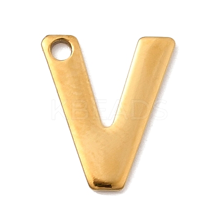 304 Stainless Steel Charms LS-STAS-B093-12G-V-1