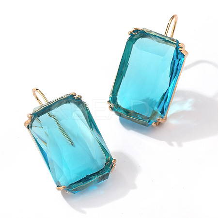 Rectangle Alloy Cubic Zirconia Dangle Earrings FS-WGB3F13-02-1