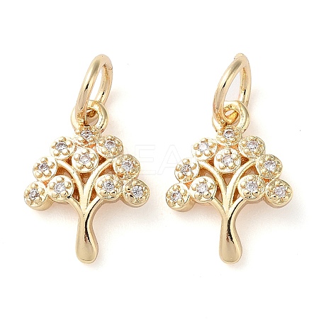 Rack Plating Brass Micro Pave Clear Cubic Zirconia Charms KK-D097-05G-1