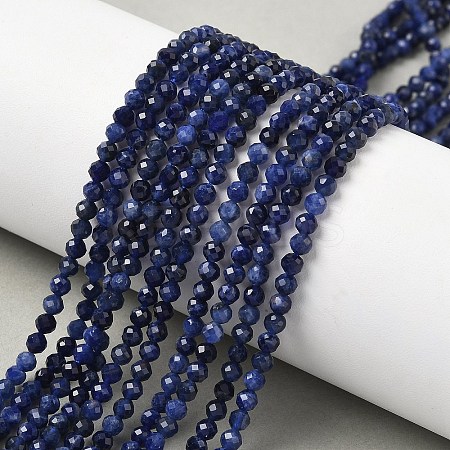 Natural Sodalite Beads Strands G-L622-C04-3mm-1