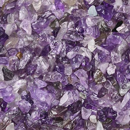 Natural Amethyst Chip Beads G-L453-06-1