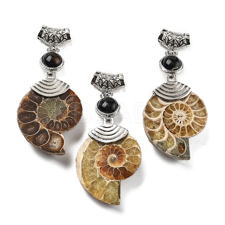 Natural Black Agate Fossil Snail Pendants G-F062-08-1