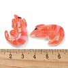 Resin Cabochons RESI-R456-04A-3