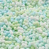 Macaron Color Opaque Frosted Glass Seed Beads SEED-K009-12B-03-3