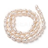 Natural Cultured Freshwater Pearl Beads Strands PEAR-L033-60-3