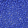 8/0 Czech Opaque Glass Seed Beads SEED-N004-003A-25-4