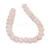 Natural Rose Quartz Beads Strands G-G142-A14-01-3
