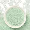 TOHO 11/0 Demi Round Beads X-SEED-DR11-1065-4