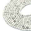 Natural Howlite Beads Strands G-A260-A25-01-3
