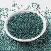 MIYUKI Round Rocailles Beads SEED-X0055-RR3205-2