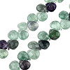 Natural Purple Fluorite Gemstone Beads Strands G-T006-04-1