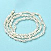 Natural Baroque Pearl Keshi Pearl Beads Strands PEAR-E016-142-3