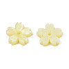 Opaque Acrylic Beads LS-SACR-S273-31G-3