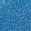 MIYUKI Round Rocailles Beads SEED-X0055-RR0573-3