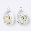 Glass Pendants LS-X-GLAA-Q070-005F-1