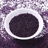 MIYUKI Delica Beads SEED-X0054-DB1312-3
