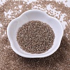 MIYUKI Delica Beads SEED-MY11-DB0102-2