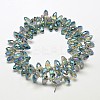 Faceted Teardrop Full Rainbow Plated Electroplate Glass Beads Strands EGLA-J131-FR13-2