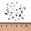 Natural Amethyst Chip Beads G-L453-06-2