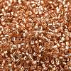 Glass Seed Beads SEED-S042-04B-17-3