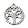 Non-Tarnish 201 Stainless Steel Pendants STAS-E206-03P-04-1