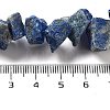 Raw Rough Natural Lapis Lazuli Beads Strands G-P528-A14-01-4