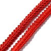 Polyester Braided Lace Trim LS-OCOR-WH0079-51A-1