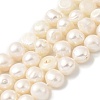 Natural Cultured Freshwater Pearl Beads Strands PEAR-A006-10B-2