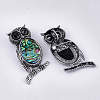 Abalone Shell/Paua Shell Brooches/Pendants X-RESI-S376-12-2