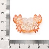 Marine Organism Theme Resin Cabochons RESI-Q010-01A-3