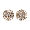Tibetan Style Zinc Alloy Pendants TIBEP-EA11591YKG-AB-LF-2