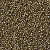 MIYUKI Delica Beads SEED-MY11-DB0288-3