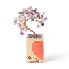 Heart Money Tree Natural Gemstone Bonsai Display Decorations DJEW-G027-16RG-02-2